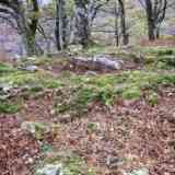 dolmen de Olarko Harri (NAVARRA)