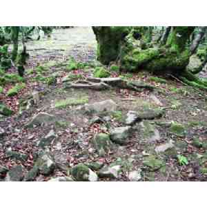 dolmen de Errandonea ipar (NAVARRA)