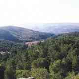 Vista de los bosques del Valle de Ayora