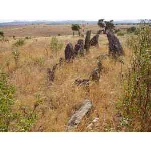Cedillo III: dolmen de Cuatro Lindones