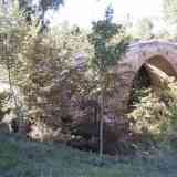 Puente románico de Lences