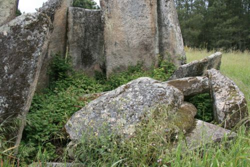 Ortostatos de carapito