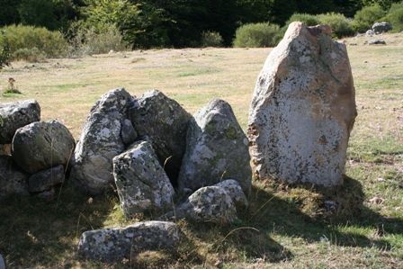 http://www.celtiberia.net/imagftp/U20984-011_MAJADA-DE-ESCOBIO,-ACEBEDO-11-8-07-027.jpg.jpg