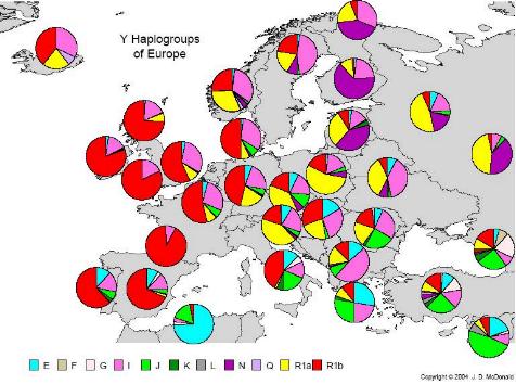 Todas las ramas de &quot;razas&quot; proveniente de los indoeuropeos.