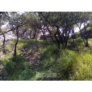 Click para ampliar. Pulsa en el nombre para ver la ficha. Castillo de Jentilbaratza.