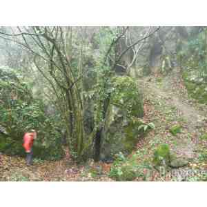 Click para ampliar. Pulsa en el nombre para ver la ficha. Cueva de Marizulo