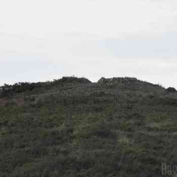 Click para ampliar. Pulsa en el nombre para ver la ficha. Castro de Malmasin