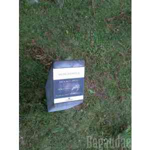 Click para ampliar. Pulsa en el nombre para ver la ficha. Dolmen de Akolako Lepua I indicador