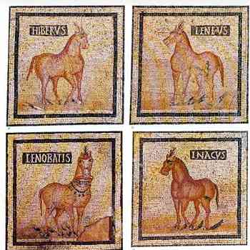 Click para ampliar. Pulsa en el nombre para ver la ficha. Caballos en el mosaico de Torre de Palma