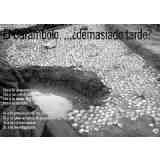 Click para ampliar. Pulsa en el nombre para ver la ficha. Carambolo 25_ Postal denuncia.