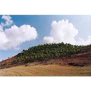 Click para ampliar. Pulsa en el nombre para ver la ficha. Vista general del Cerro del Castillejo