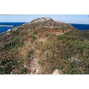 Click para ampliar. Pulsa en el nombre para ver la ficha. Cumbre del Monte Cotolino