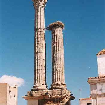 Click para ampliar. Pulsa en el nombre para ver la ficha. Dístilo de Zalamea de la Serena (Badajoz)