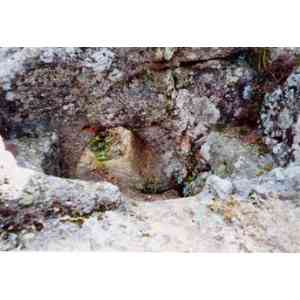 Click para ampliar. Pulsa en el nombre para ver la ficha. La sauna de Ulaca. El horno