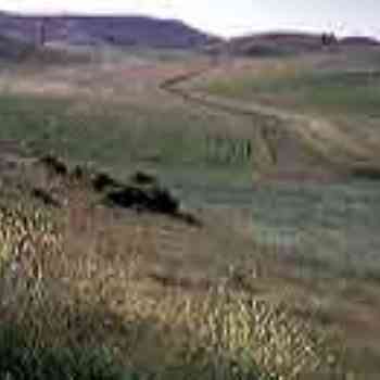 Click para ampliar. Pulsa en el nombre para ver la ficha. Yacimiento de Ambrona