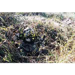 Click para ampliar. Pulsa en el nombre para ver la ficha. Paramento del Castro de Cotolino