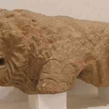 Click para ampliar. Pulsa en el nombre para ver la ficha. Espera 1: león iberoturdetano