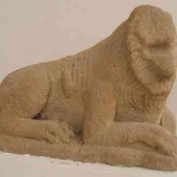 Click para ampliar. Pulsa en el nombre para ver la ficha. Espera 4: león iberoturdetano