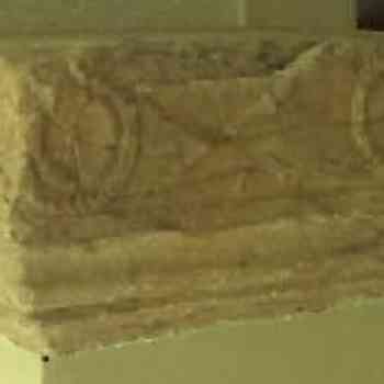 Click para ampliar. Pulsa en el nombre para ver la ficha. Barbate: ara mitraica