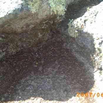 Click para ampliar. Pulsa en el nombre para ver la ficha. Catoira: Cazoleta 2