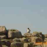 Click para ampliar. Baroña: Cazoletas