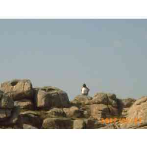 Click para ampliar. Pulsa en el nombre para ver la ficha. Baroña: Cazoletas