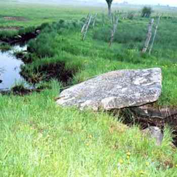 Click para ampliar. Pulsa en el nombre para ver la ficha. Reinosilla-Posible ortostato 2