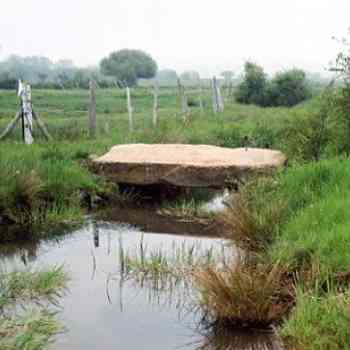 Click para ampliar. Pulsa en el nombre para ver la ficha. Reinosilla-posible ortostato.