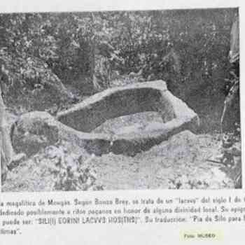 Click para ampliar. Pulsa en el nombre para ver la ficha. Castro Bouza Fariña 2
Mougás (Pontevedra)