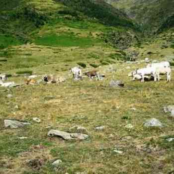 Click para ampliar. Pulsa en el nombre para ver la ficha. cromlechs Barranco Mallo Blanco este (HUESCA)