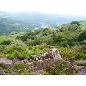 Click para ampliar. Pulsa en el nombre para ver la ficha. dolmen de Urriki mendebalde (NAVARRA)