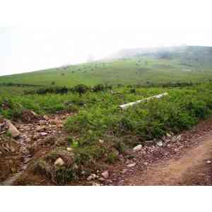 Click para ampliar. Pulsa en el nombre para ver la ficha. otro dolmen navarro en peligro de destrucción