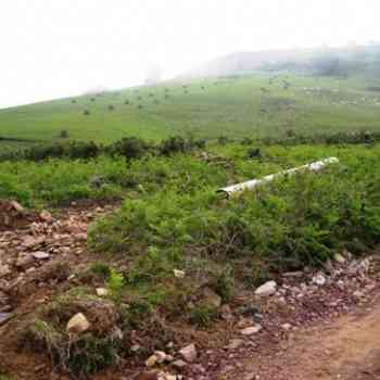 Click para ampliar. Pulsa en el nombre para ver la ficha. otro dolmen navarro en peligro de destrucción