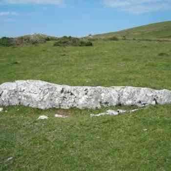 Click para ampliar. Pulsa en el nombre para ver la ficha. nuevo menhir navarro (2)
