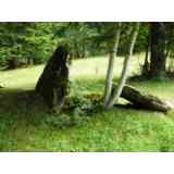 Click para ampliar. Pulsa en el nombre para ver la ficha. dolmen de Camping Selva de Oza (HUESCA)