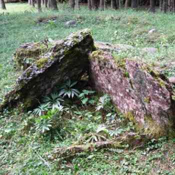 Click para ampliar. Pulsa en el nombre para ver la ficha. dolmen de Campamento Ramiro el Monje (HUESCA)
