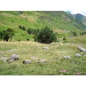 Click para ampliar. Pulsa en el nombre para ver la ficha. cromlech de Campo Largo (HUESCA)