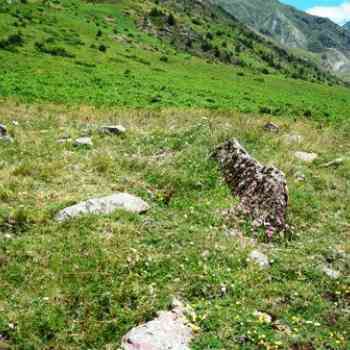 Click para ampliar. Pulsa en el nombre para ver la ficha. dolmen de Las Fitas norte (HUESCA)