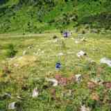 Click para ampliar. cromlechs