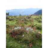 Click para ampliar. Pulsa en el nombre para ver la ficha. Campo tumular de Oiarrar goikoa (NAVARRA)