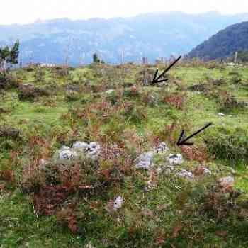 Click para ampliar. Pulsa en el nombre para ver la ficha. Campo tumular de Oiarrar goikoa (NAVARRA)