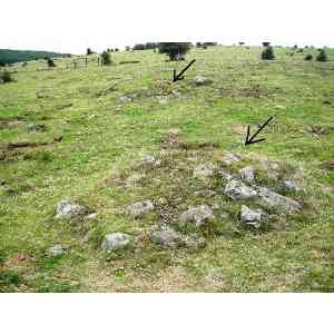 Click para ampliar. Pulsa en el nombre para ver la ficha. campo tumular de Ortxola (NAVARRA)