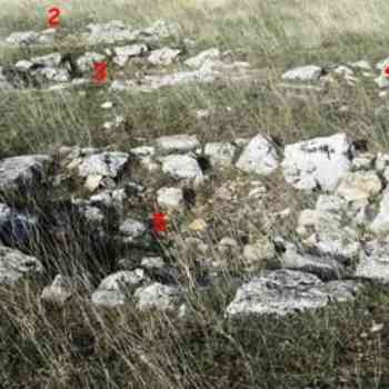 Click para ampliar. Pulsa en el nombre para ver la ficha. la polera foto 2