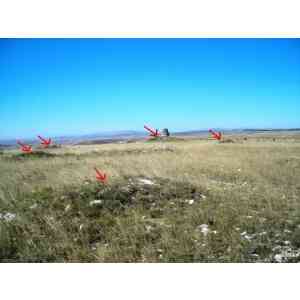 Click para ampliar. Pulsa en el nombre para ver la ficha. campo tumular de Olimpia (BURGOS)