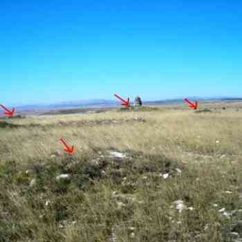 Click para ampliar. Pulsa en el nombre para ver la ficha. campo tumular de Olimpia (BURGOS)