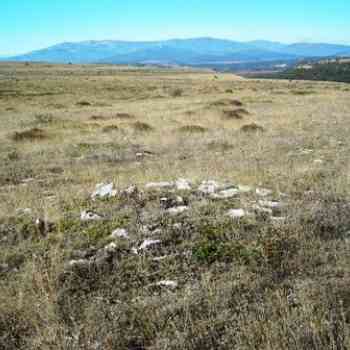 Click para ampliar. Pulsa en el nombre para ver la ficha. posible nuevo campo tumular en Palencia