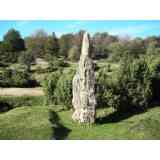 Click para ampliar. Pulsa en el nombre para ver la ficha. menhir de Itaida (ARABA)