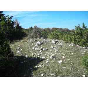 Click para ampliar. Pulsa en el nombre para ver la ficha. campo tumular de Ostalaza (NAVARRA)