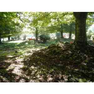 Click para ampliar. Pulsa en el nombre para ver la ficha. campo tumular de Ostalaza (NAVARRA)