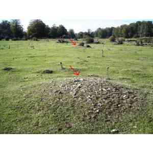 Click para ampliar. Pulsa en el nombre para ver la ficha. Campo tumular